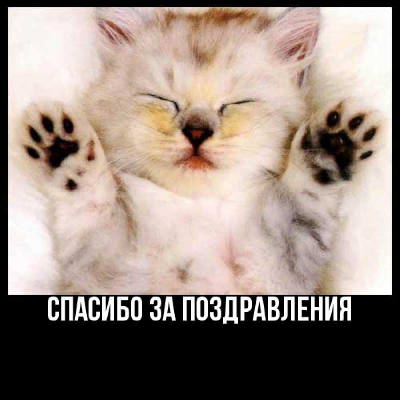 Картинка Спасибо за поздравления, 