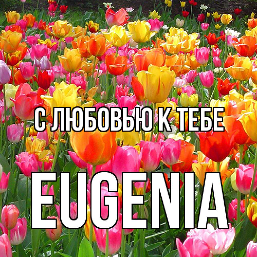 Открытка  с именем. eugenia, С любовью к тебе  