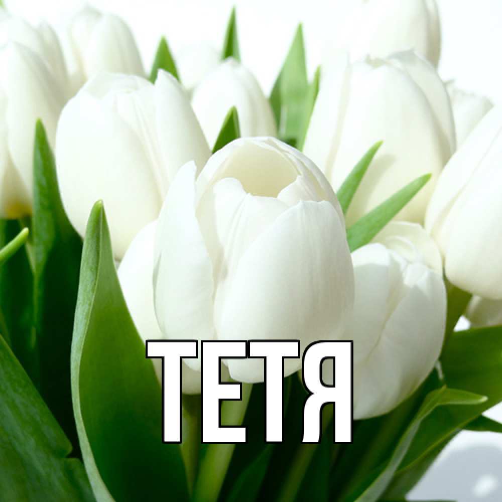 Открытка  с именем. Тетя, Главная  