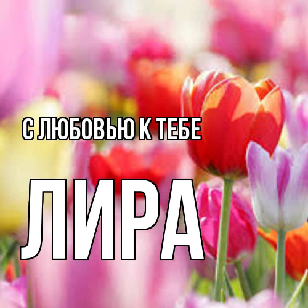 Открытка  с именем. Лира, С любовью к тебе  