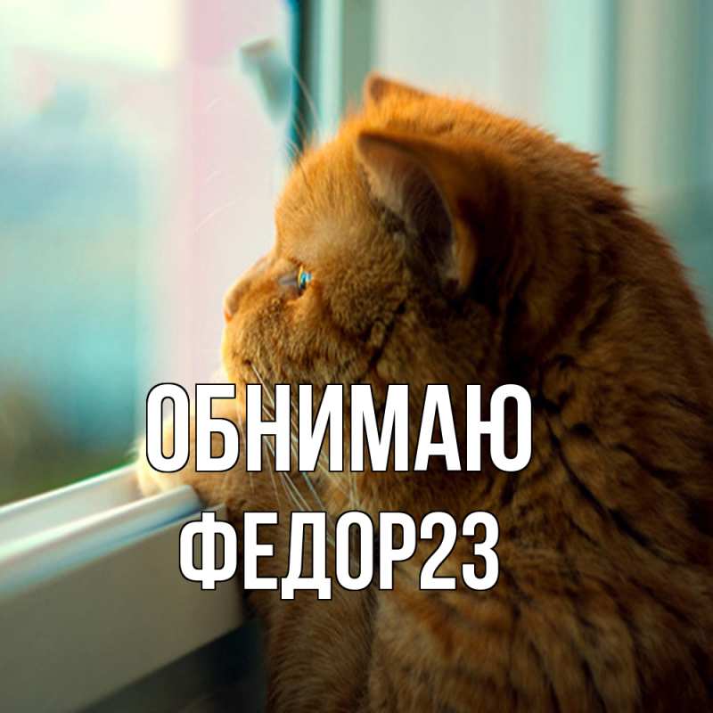 Картинка Обнимаю, Федор23