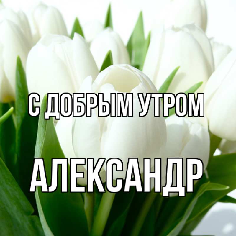 Картинка С добрым утром, александр