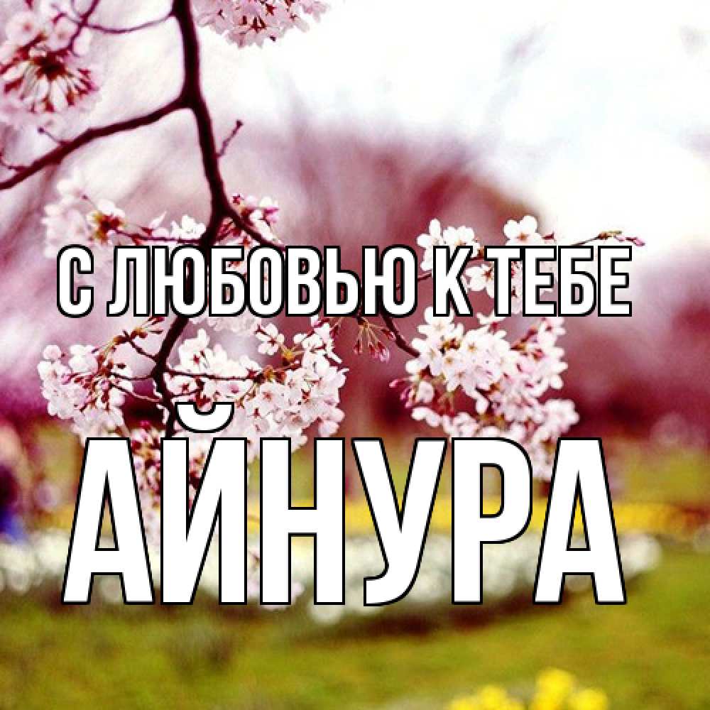 Открытка  с именем. Айнура, С любовью к тебе  