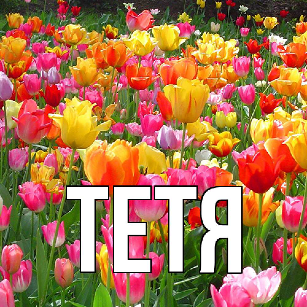 Открытка  с именем. Тетя, Главная  