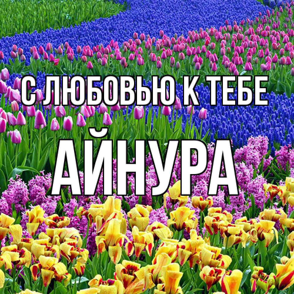 Открытка  с именем. Айнура, С любовью к тебе  