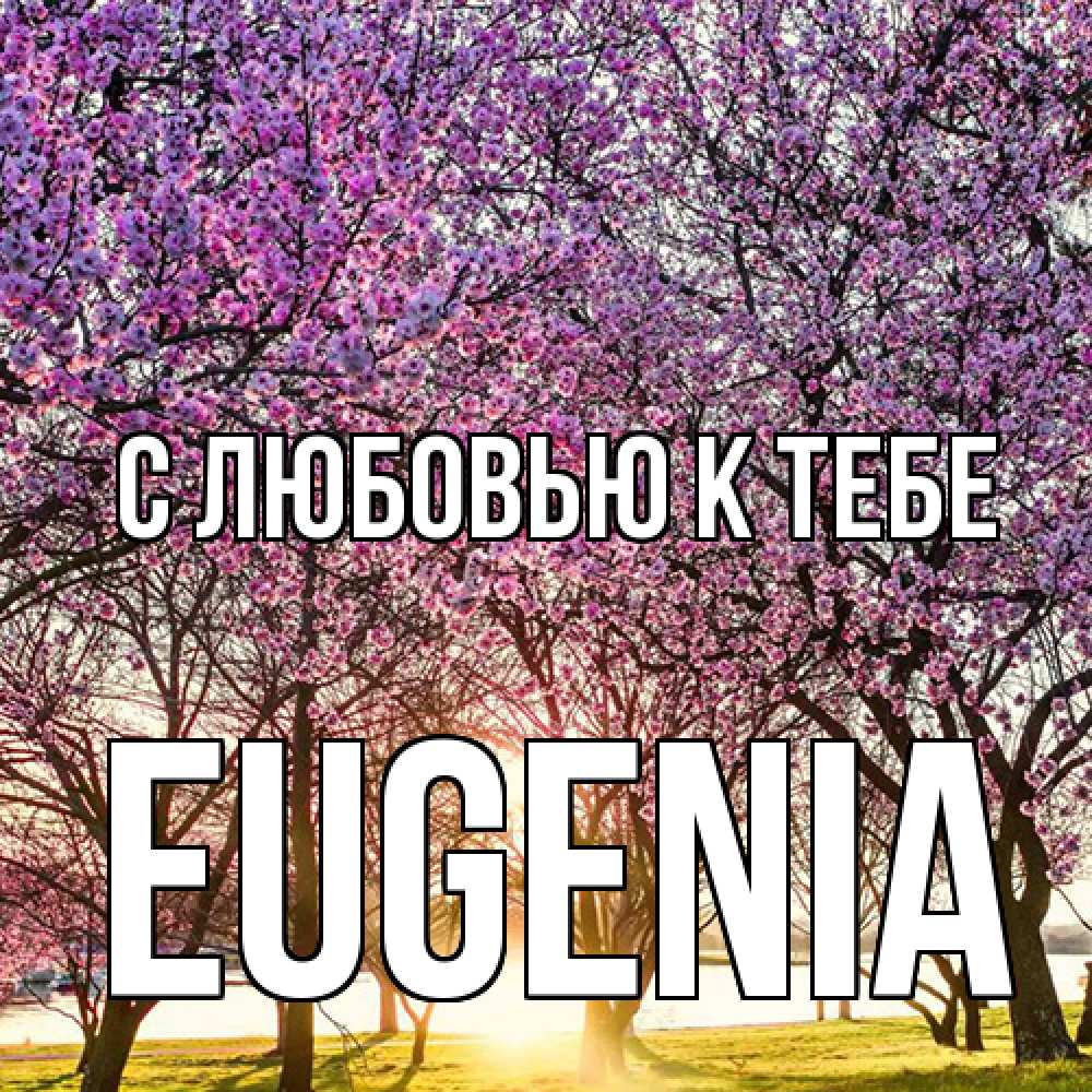 Открытка  с именем. eugenia, С любовью к тебе  