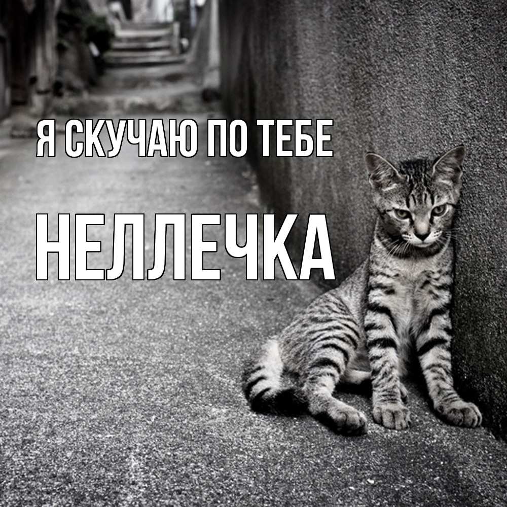 Открытка  с именем. Неллечка, Я скучаю по тебе  