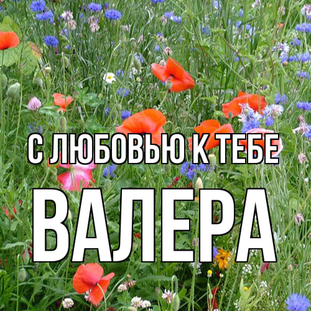 Открытка  с именем. Валера, С любовью к тебе  