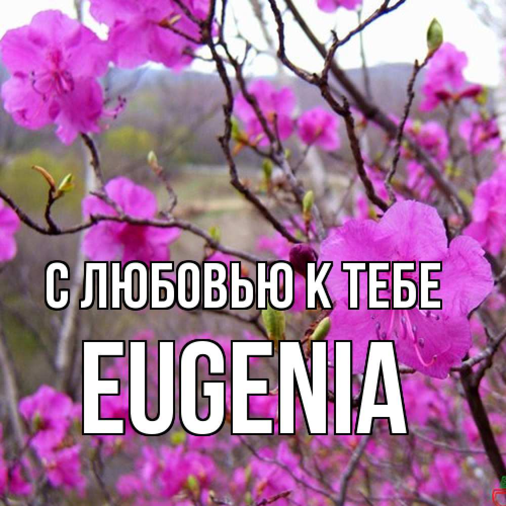 Открытка  с именем. eugenia, С любовью к тебе  