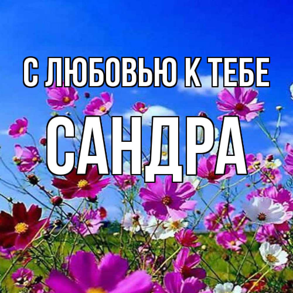 Открытка  с именем. Сандра, С любовью к тебе  