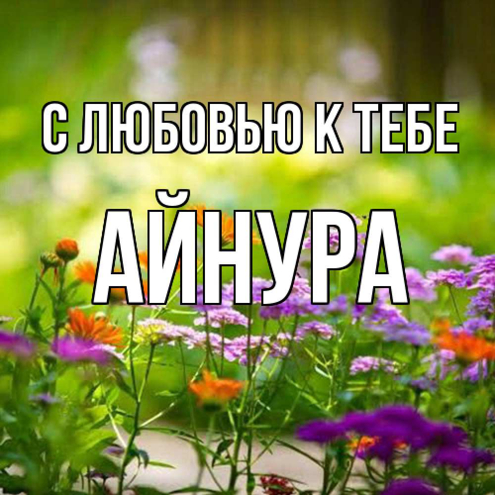 Открытка  с именем. Айнура, С любовью к тебе  