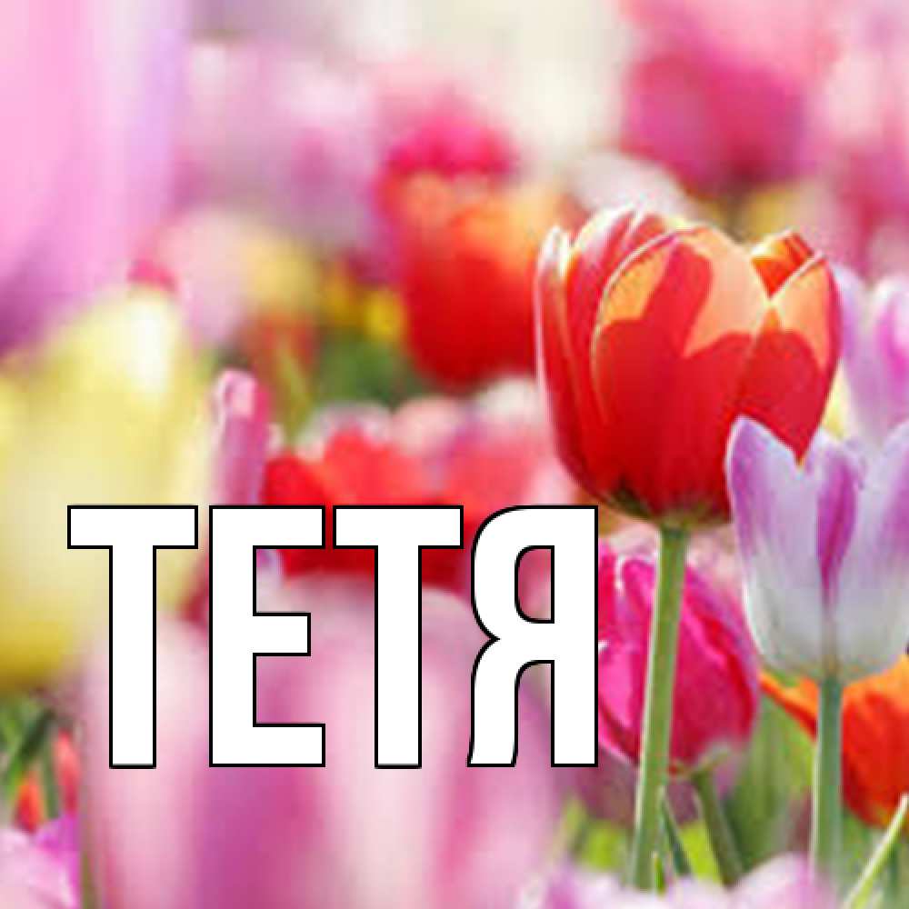 Открытка  с именем. Тетя, Главная  
