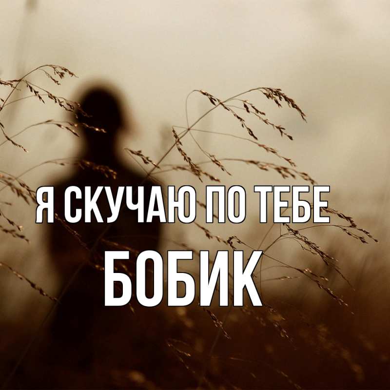 Картинка Я скучаю по тебе, Бобик