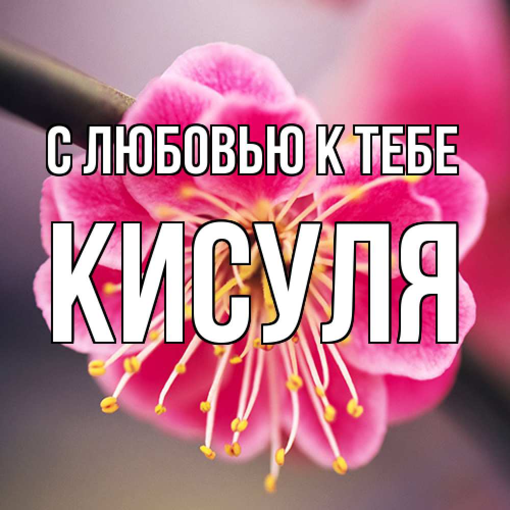 Открытка  с именем. Кисуля, С любовью к тебе  