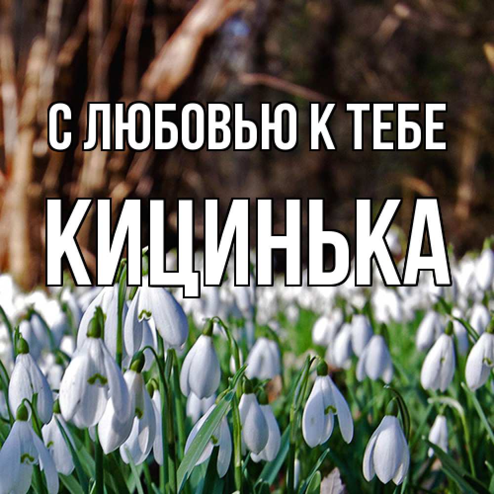 Открытка  с именем. Кицинька, С любовью к тебе  