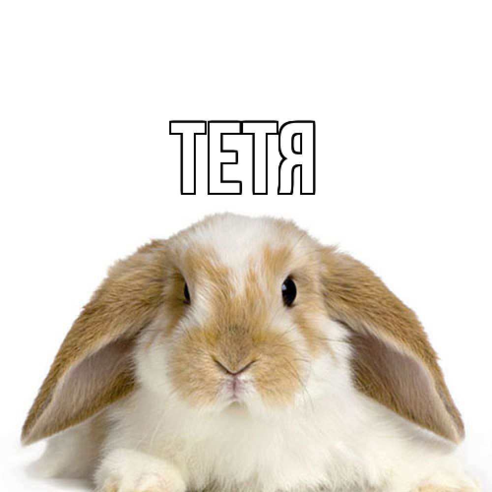 Открытка  с именем. Тетя, Главная  