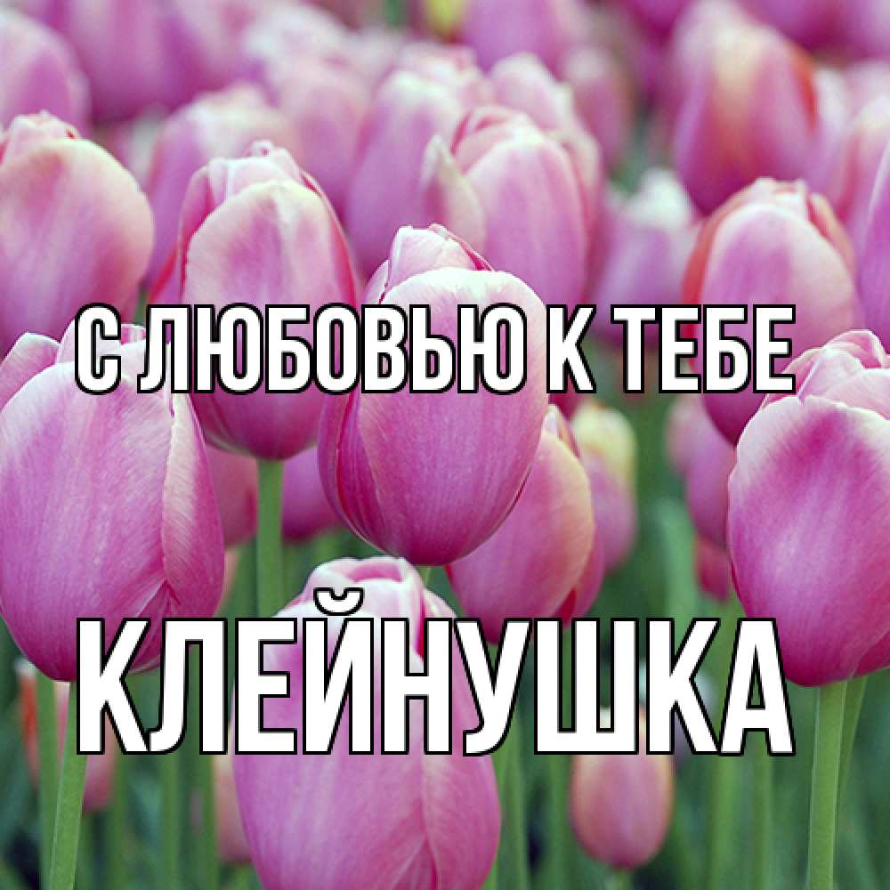 Открытка  с именем. Клейнушка, С любовью к тебе  