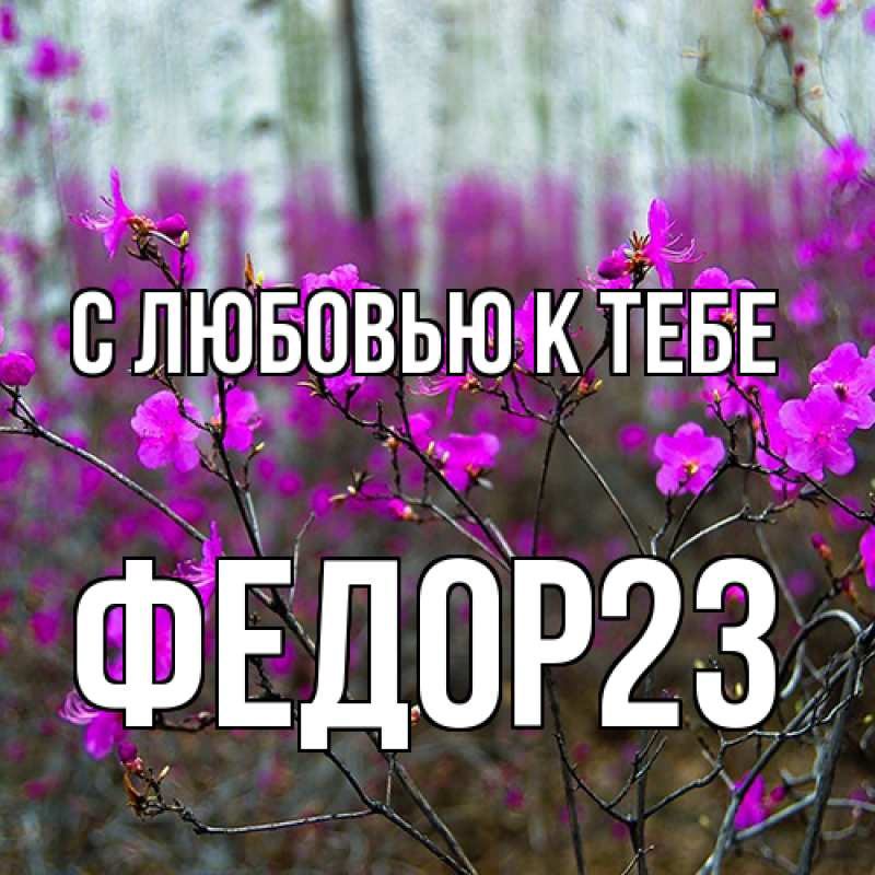 Картинка С любовью к тебе, Федор23