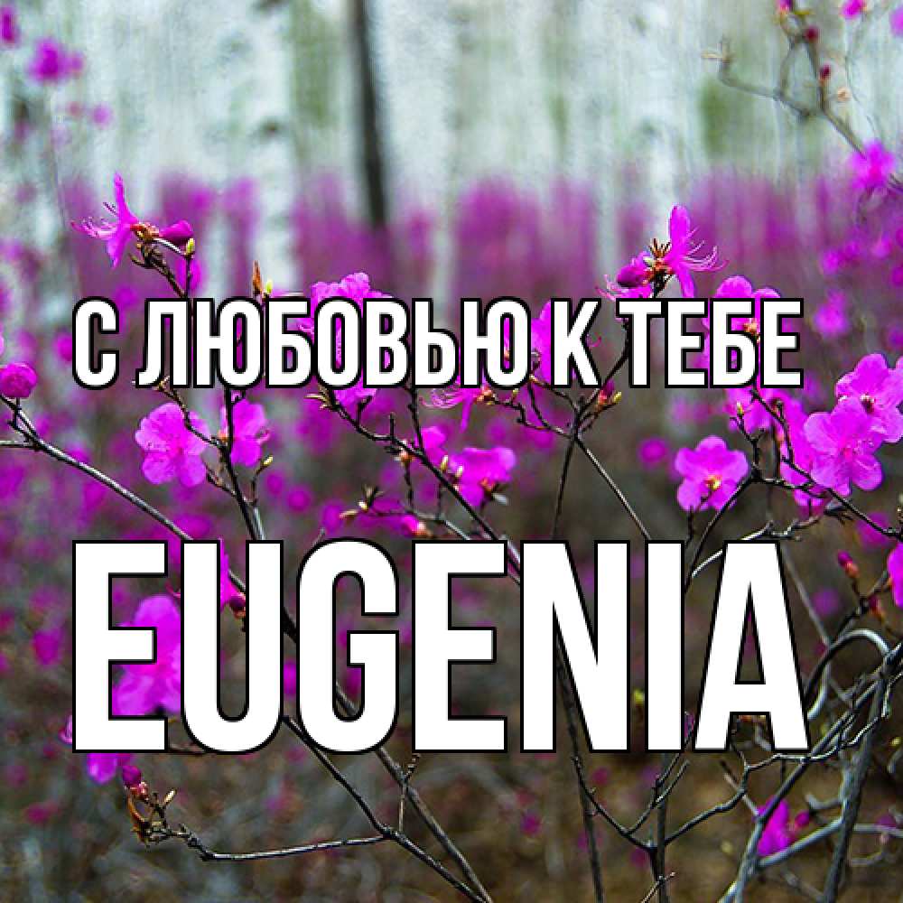 Открытка  с именем. eugenia, С любовью к тебе  