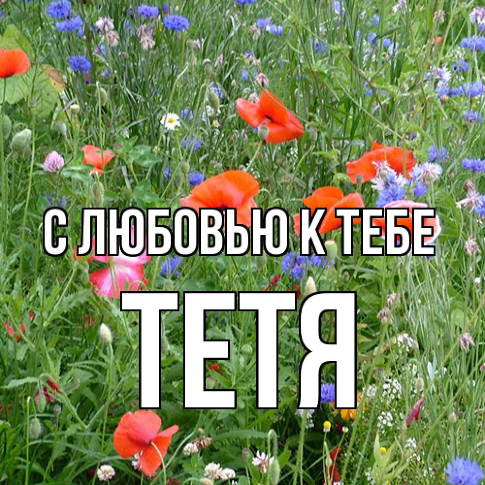 Открытка  с именем. Тетя, С любовью к тебе  