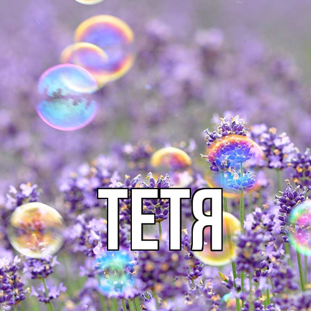 Открытка  с именем. Тетя, Главная  