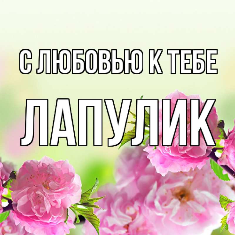 Картинка С любовью к тебе, Лапулик
