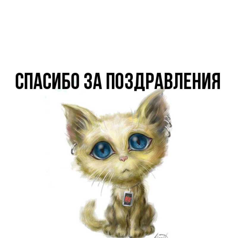 Картинка Спасибо за поздравления, 