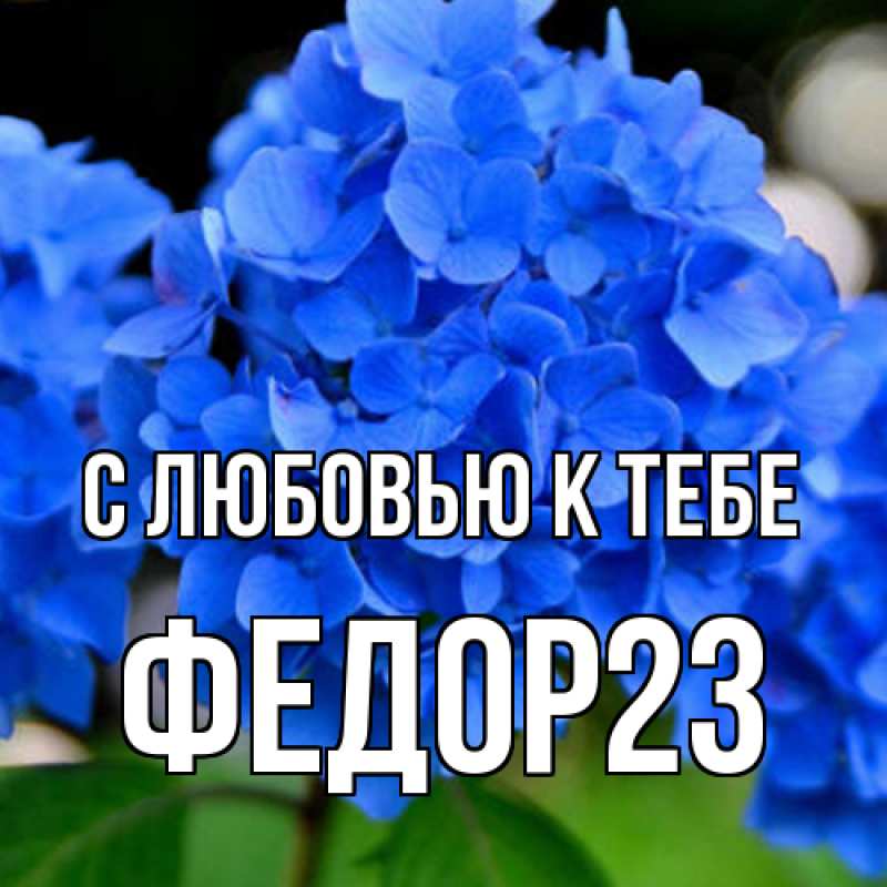 Картинка С любовью к тебе, Федор23