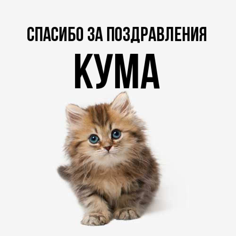 Открытка  с именем. Кума, Спасибо за поздравления  