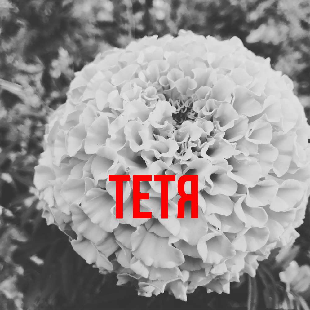 Открытка  с именем. Тетя, Главная  