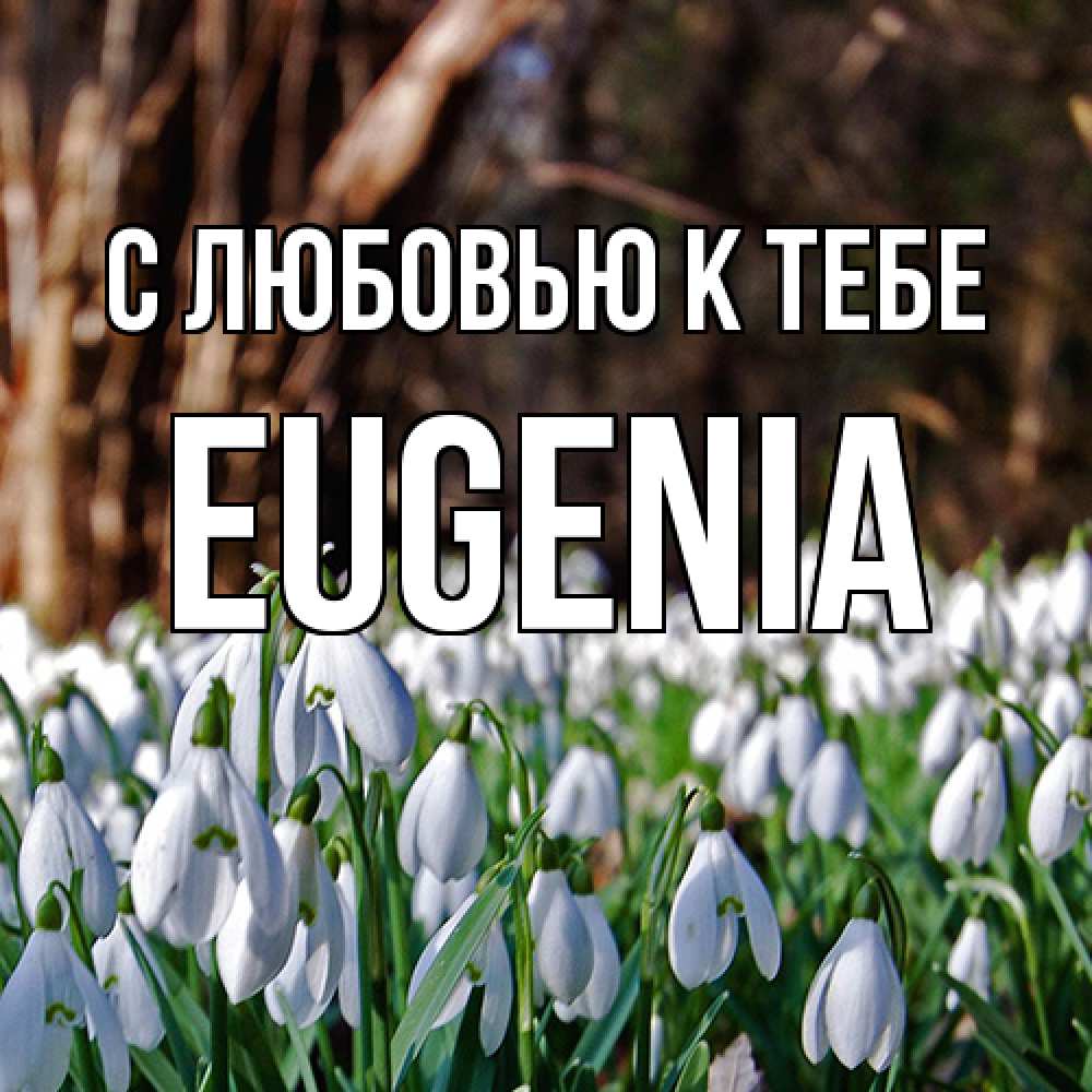 Открытка  с именем. eugenia, С любовью к тебе  