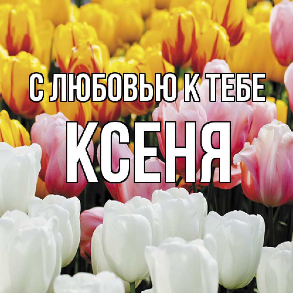 Открытка  с именем. Ксеня, С любовью к тебе  