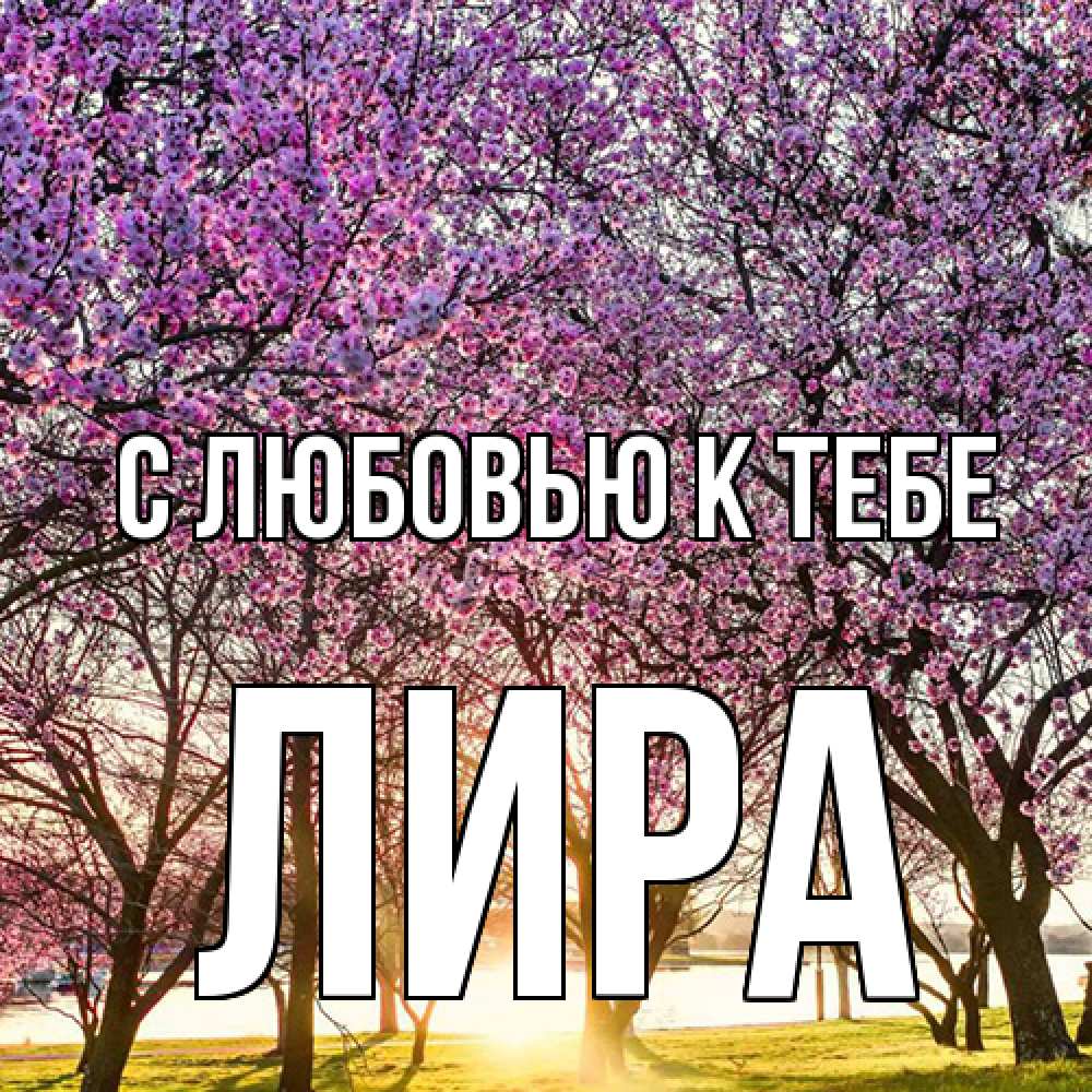 Открытка  с именем. Лира, С любовью к тебе  