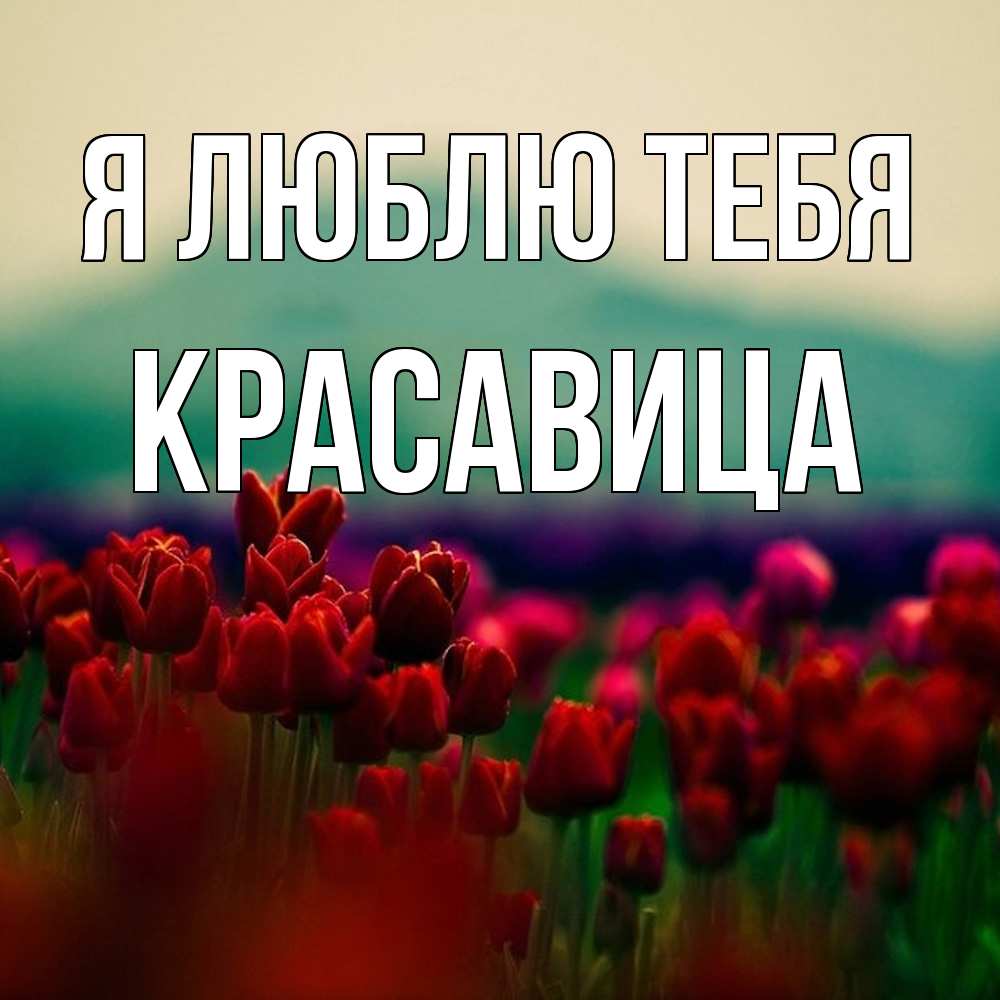 Открытка  с именем. Красавица, Я люблю тебя  