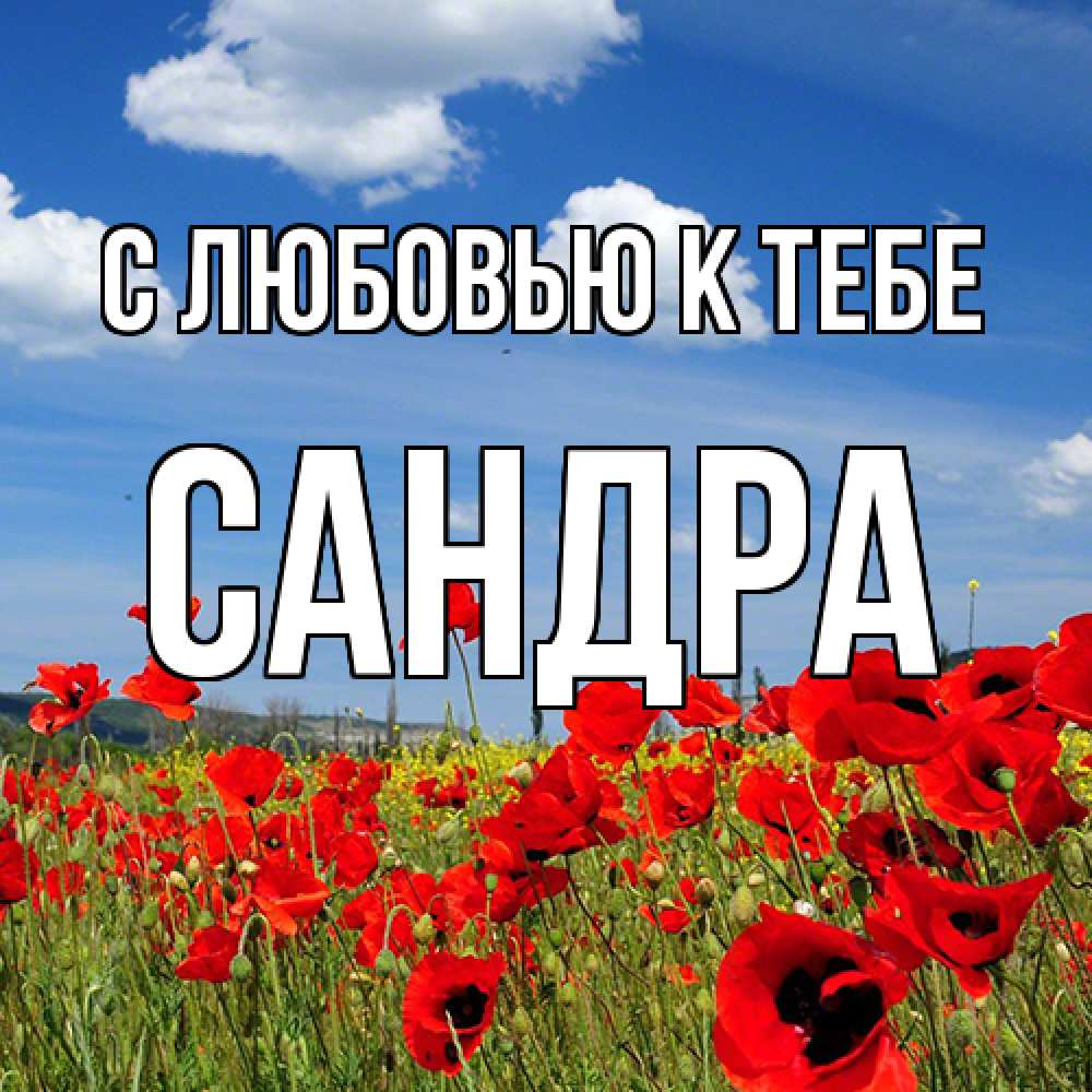 Открытка  с именем. Сандра, С любовью к тебе  