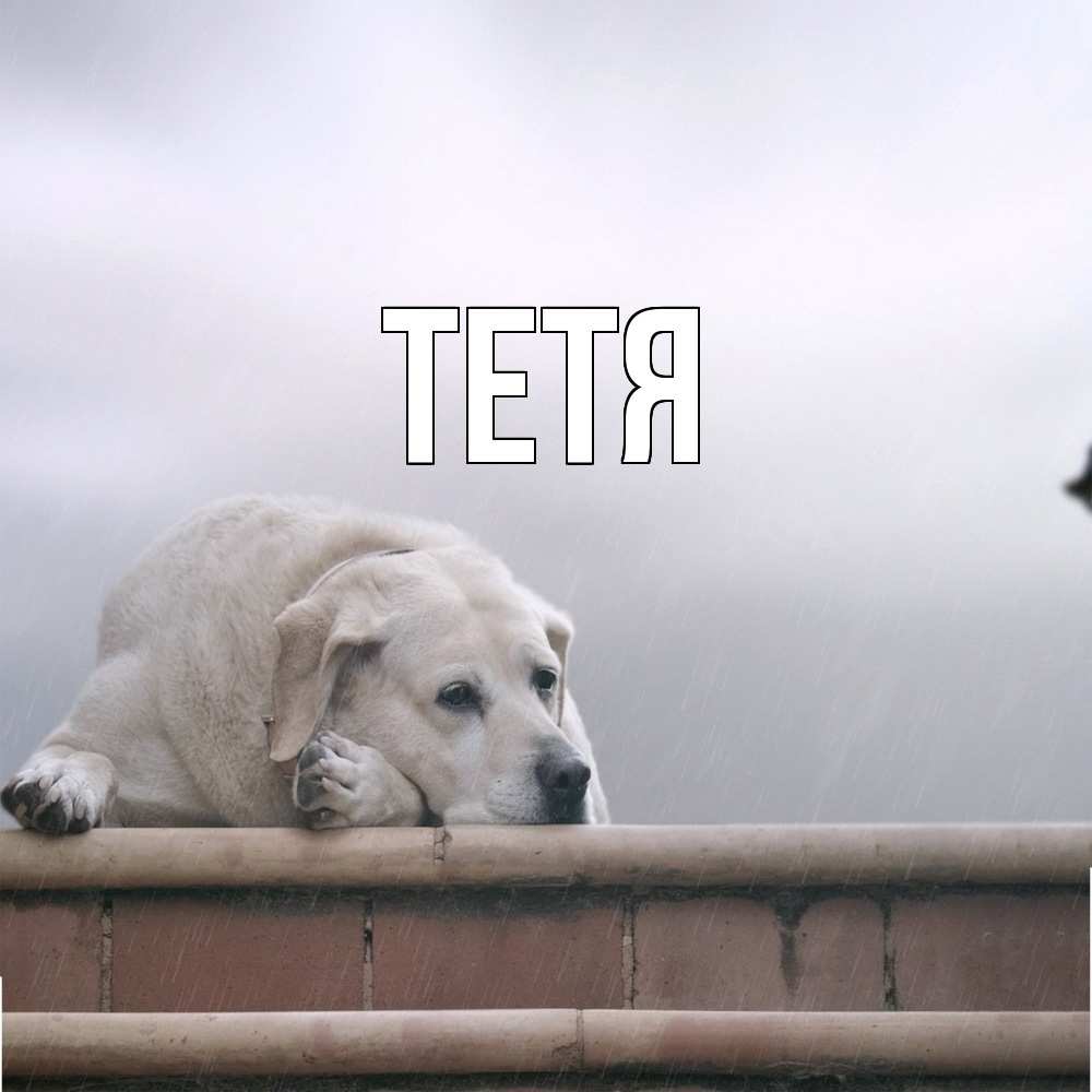 Открытка  с именем. Тетя, Главная  