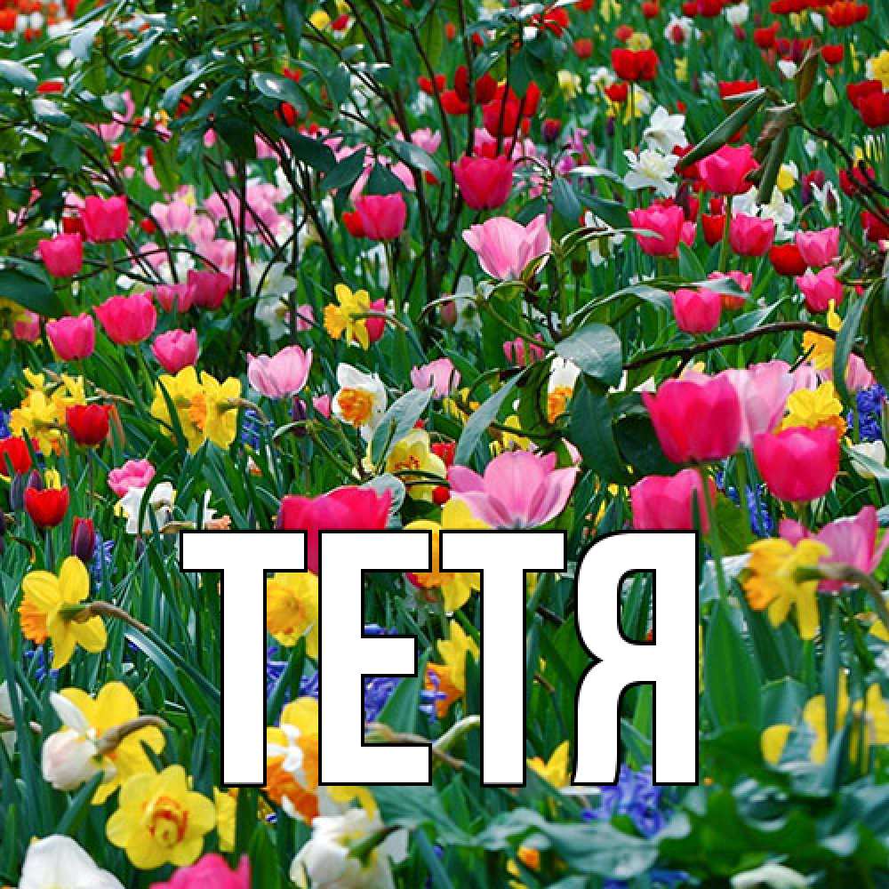 Открытка  с именем. Тетя, Главная  