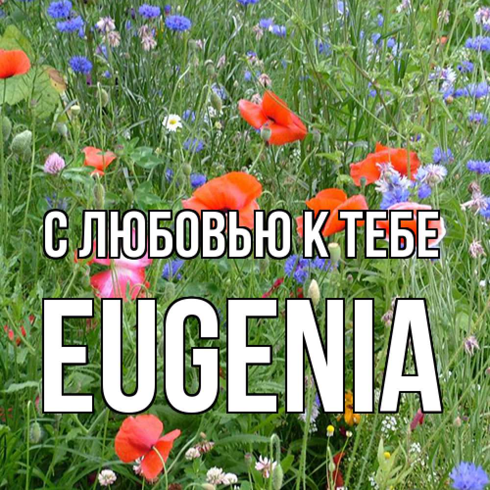 Открытка  с именем. eugenia, С любовью к тебе  