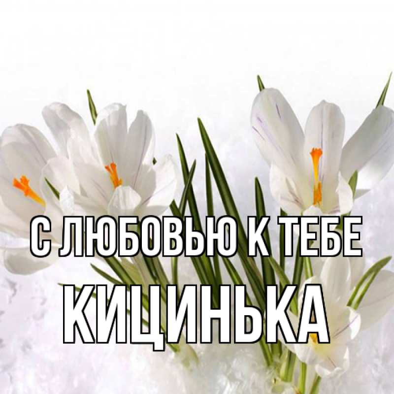 Картинка С любовью к тебе, Кицинька