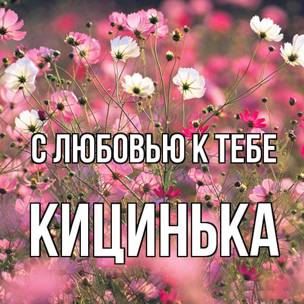 Открытка  с именем. Кицинька, С любовью к тебе  
