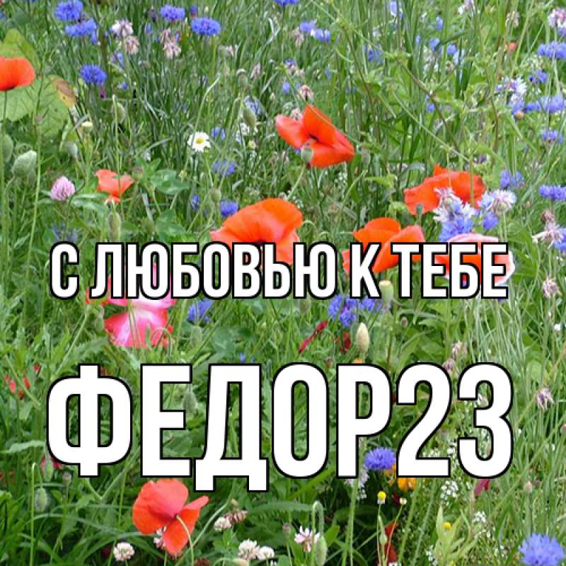 Картинка С любовью к тебе, Федор23