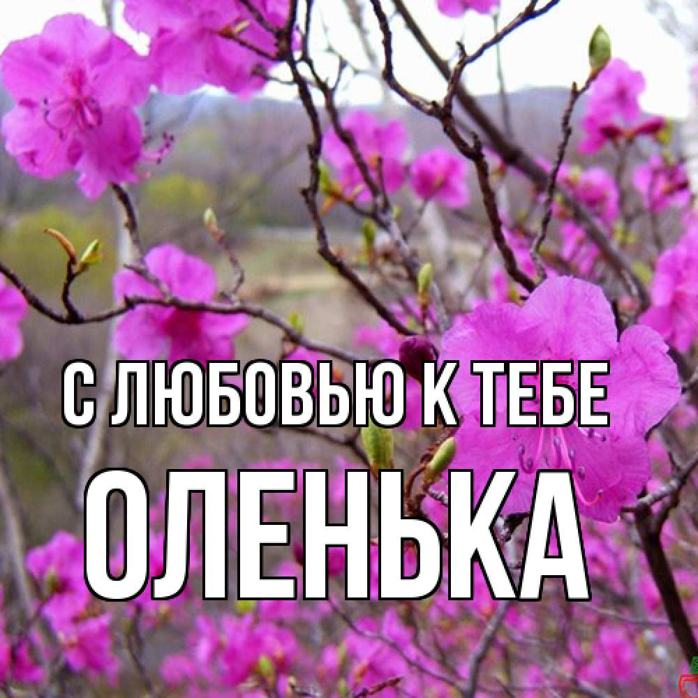 Открытка  с именем. Оленька, С любовью к тебе  