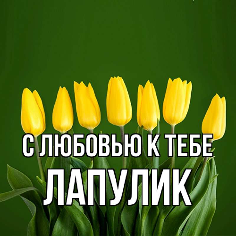 Картинка С любовью к тебе, Лапулик