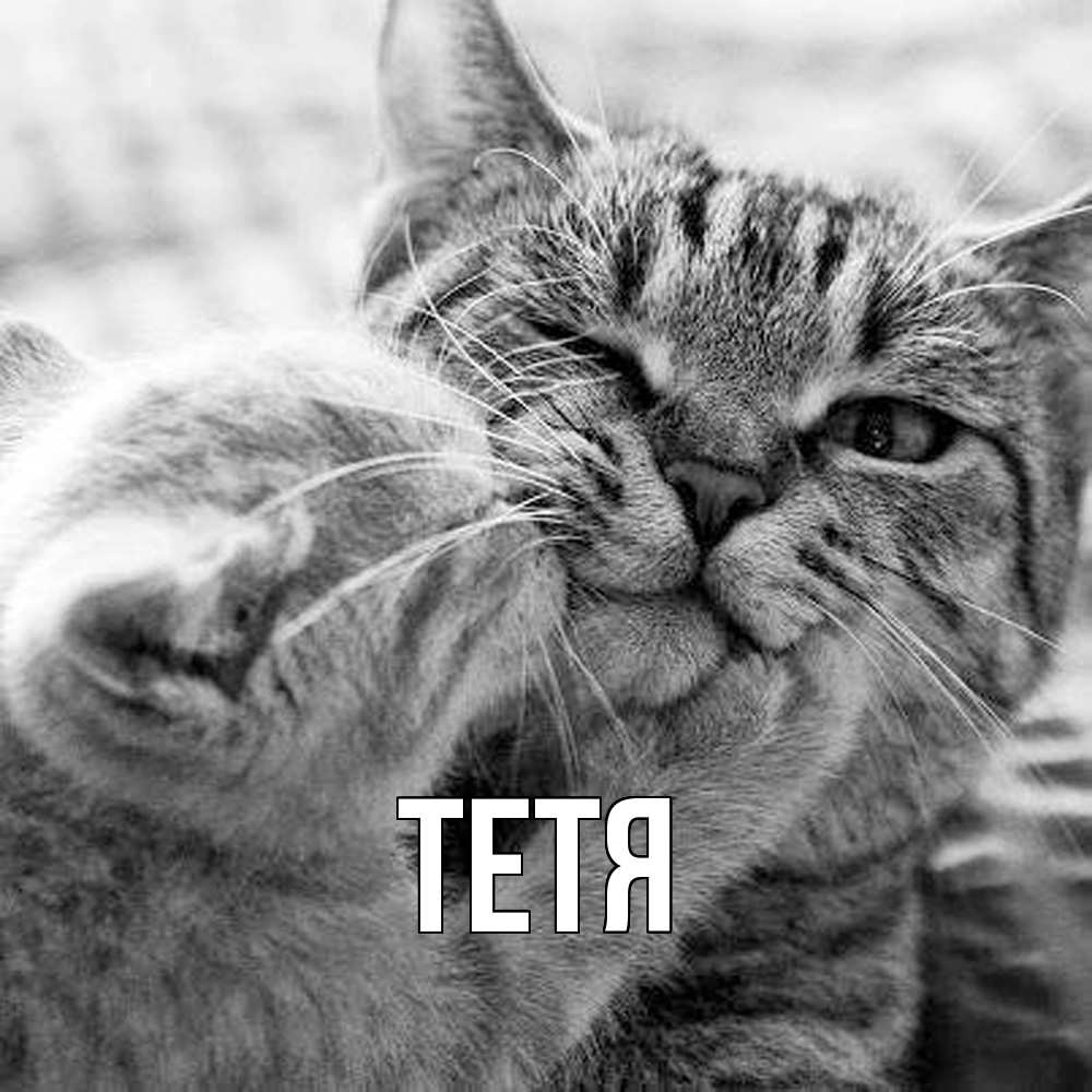 Открытка  с именем. Тетя, Главная  