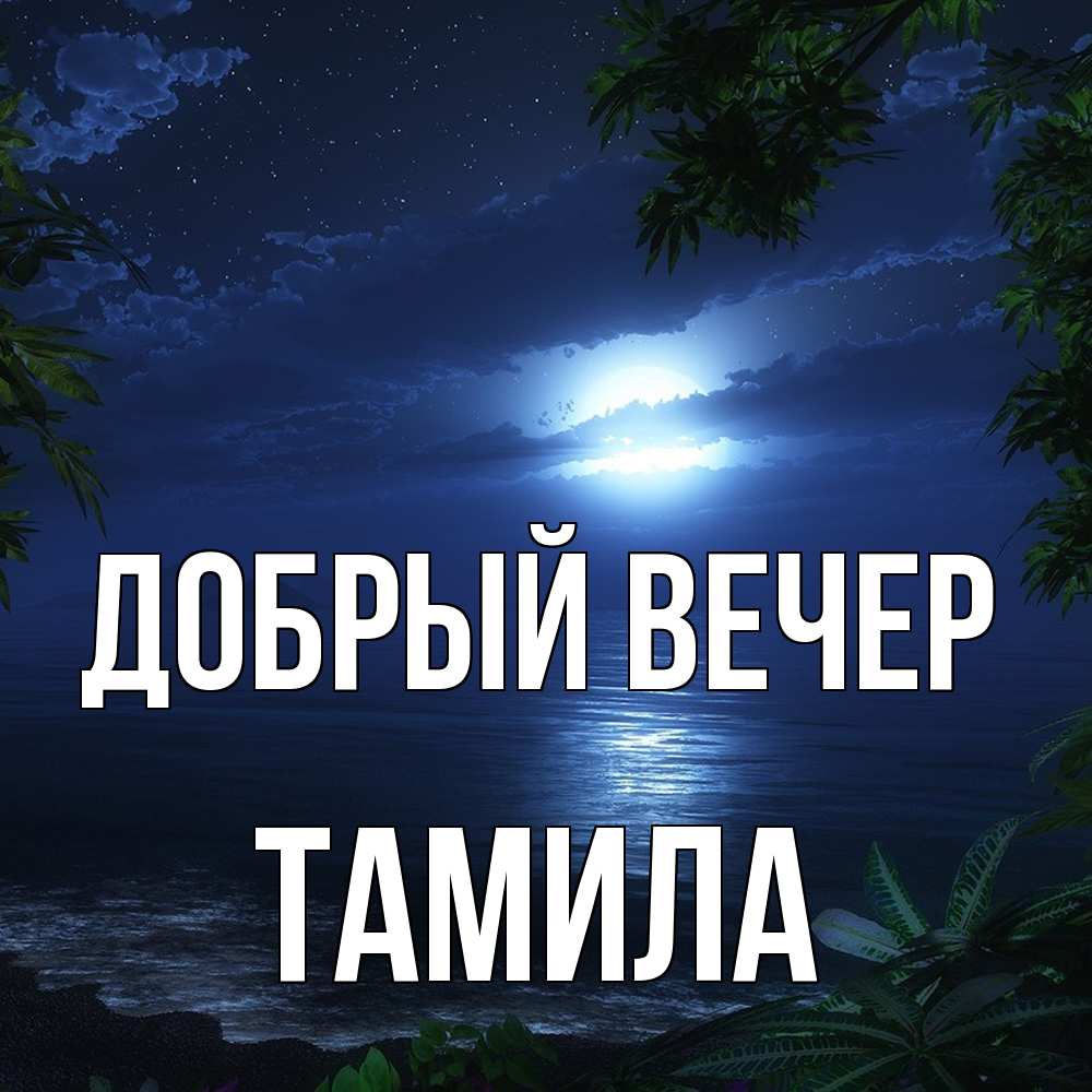 Открытка  с именем. Тамила, Добрый вечер  