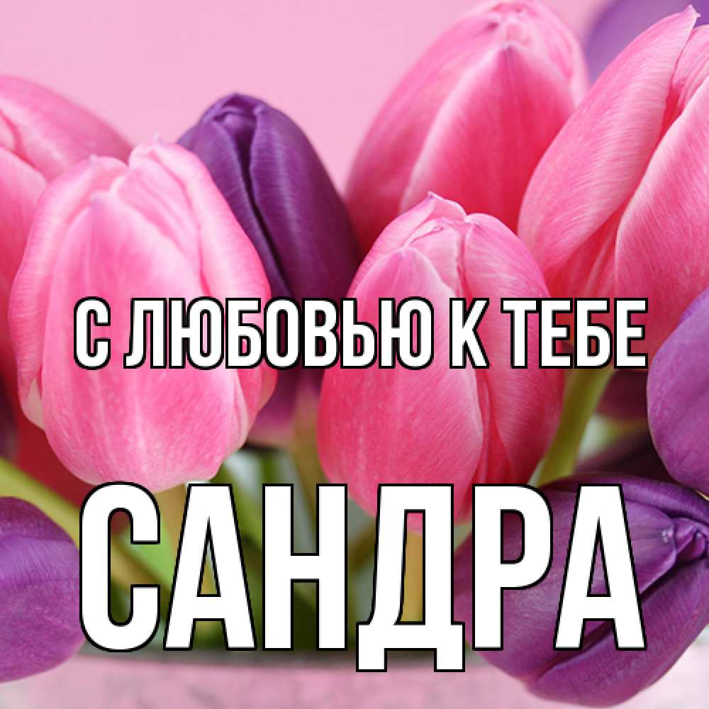 Открытка  с именем. Сандра, С любовью к тебе  