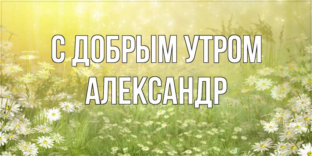 Открытка  с именем. александр, С добрым утром  