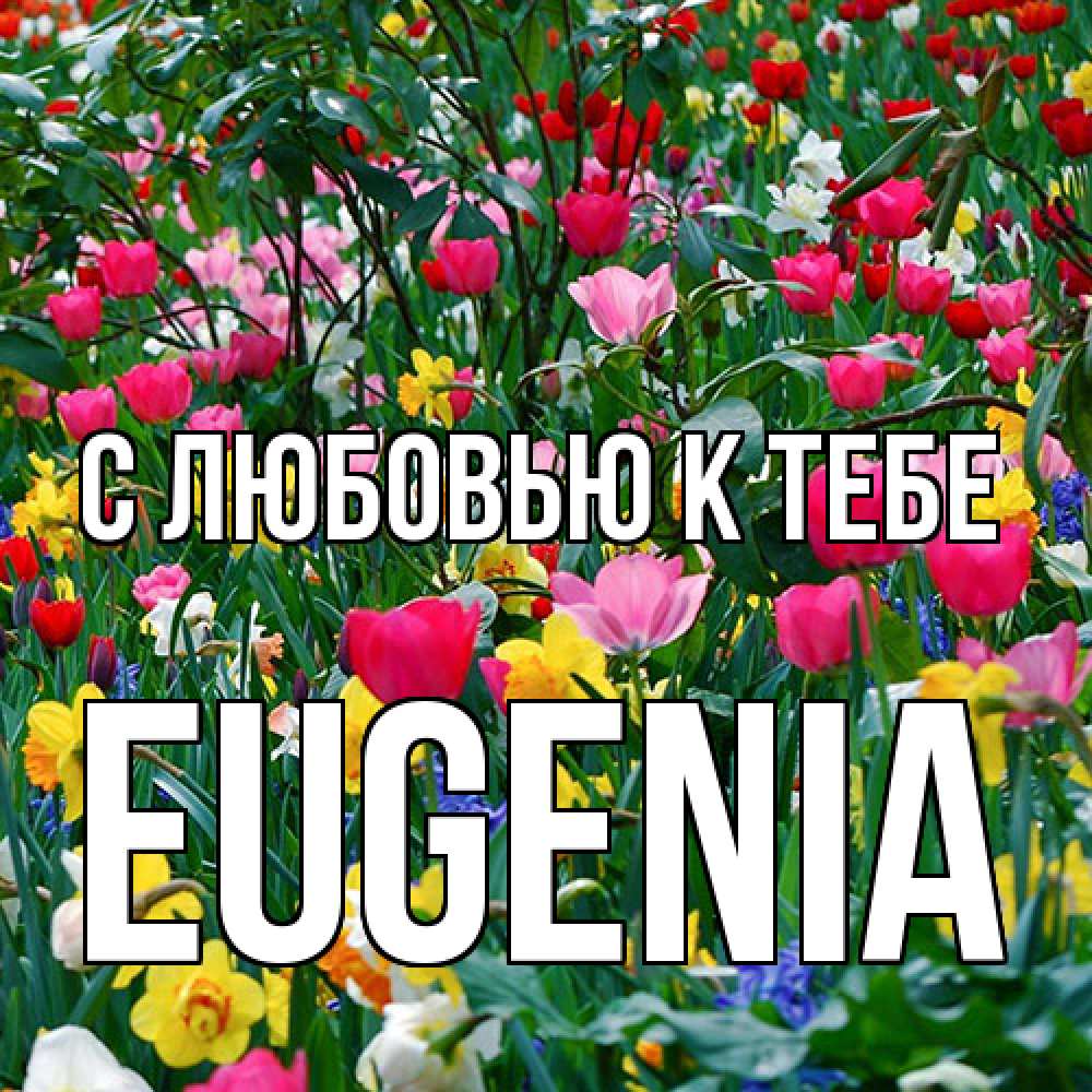 Открытка  с именем. eugenia, С любовью к тебе  