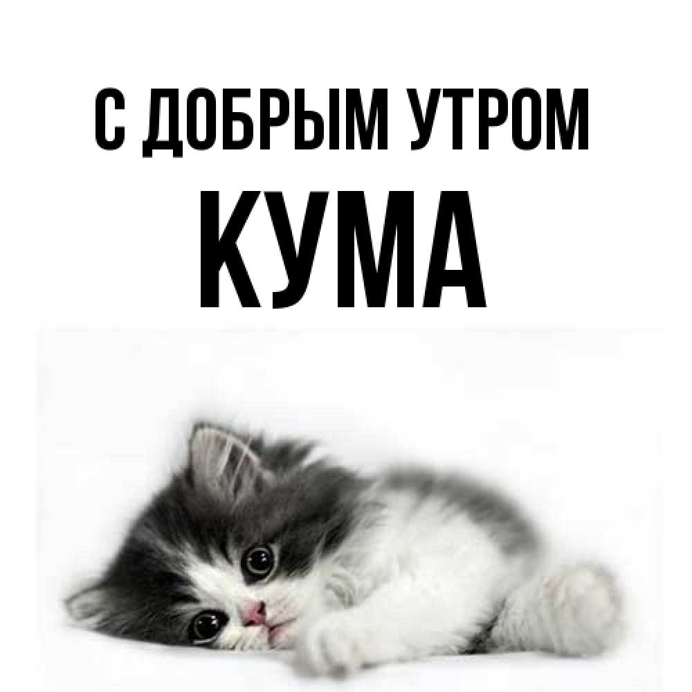Открытка  с именем. Кума, С добрым утром  
