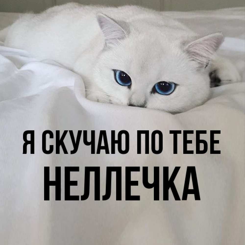 Открытка  с именем. Неллечка, Я скучаю по тебе  